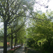 DSC-0008
