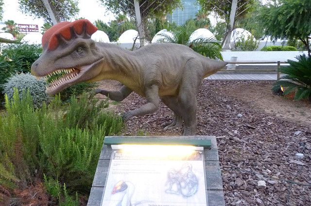 Dilophosaurus.jpg