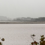 IMG-2956