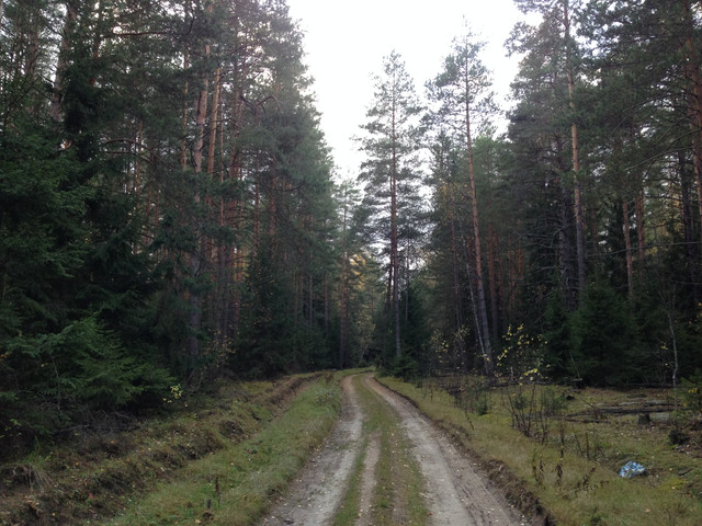 IMG-4372.jpg