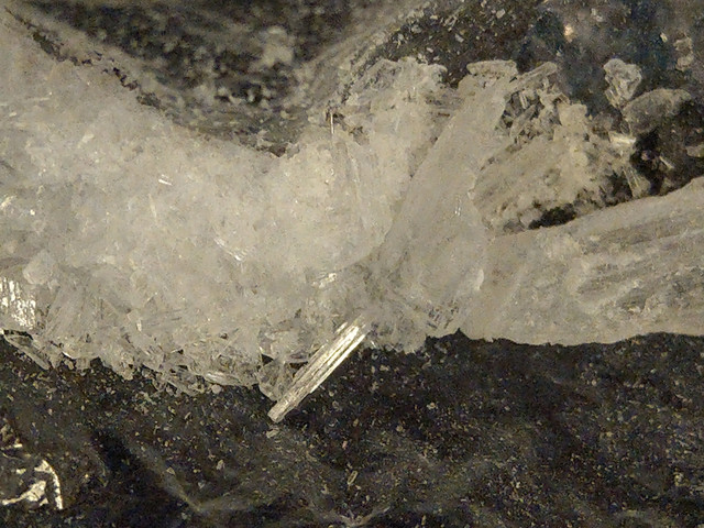 IMAG0029