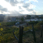 IMG-20221108-152609