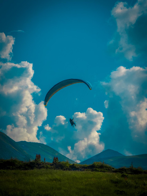 P1960610-edited.jpg