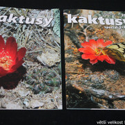 IMG-3290