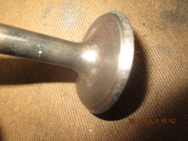 IMG-8879.jpg