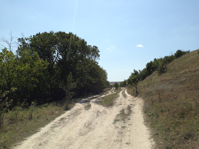 IMG-4190.jpg