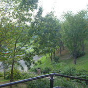 P1350264