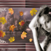 51521462-1258930108-lediosen