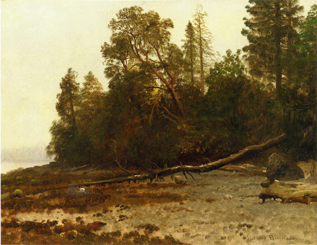 Bierstadt-Albert-The-Fallen-Tree