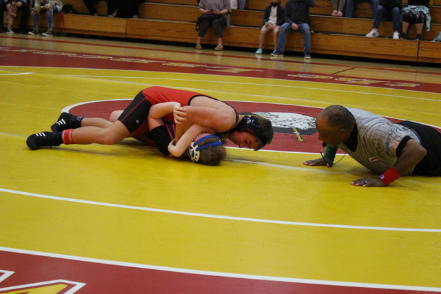 IMG-0226