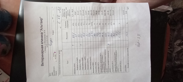 20230605-155055