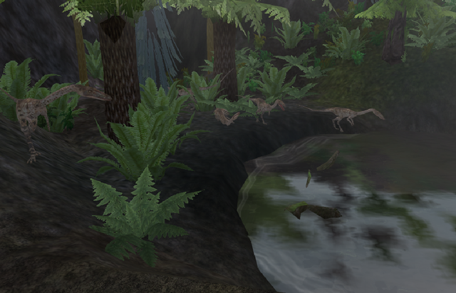 swamp2
