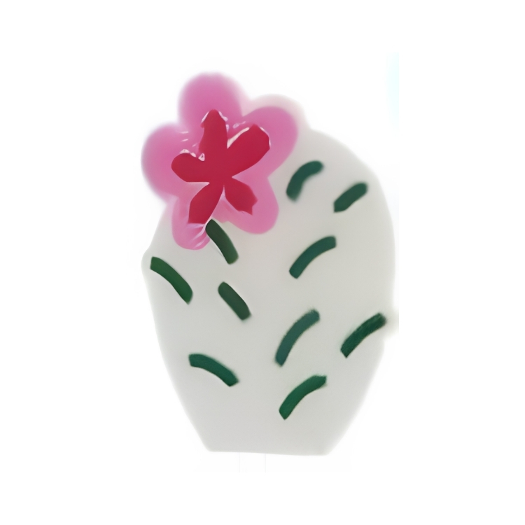 Cactus blanc