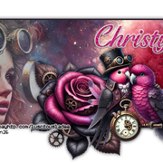 Christy LLLSbanner20TBT26 vi