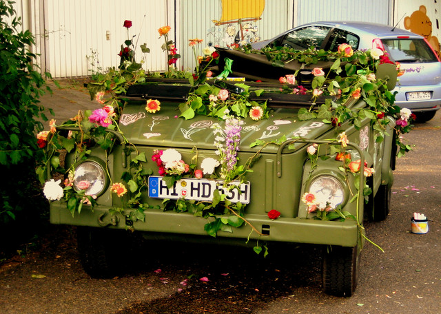 IMG 2897.jpg