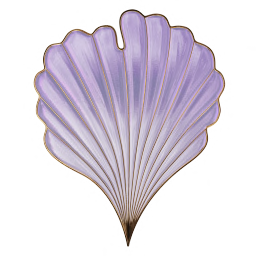 seashell.png