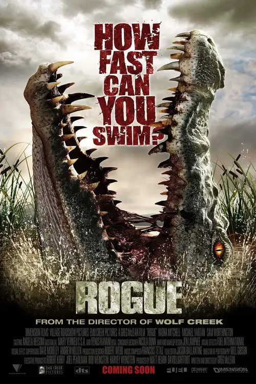 Zabójca / Rogue (2007) 1080p.WEB-DL.H264.AC3.2.0.BP007 | Lektor PL