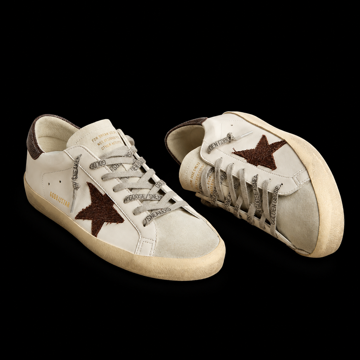 Zapatilla Golden Goose