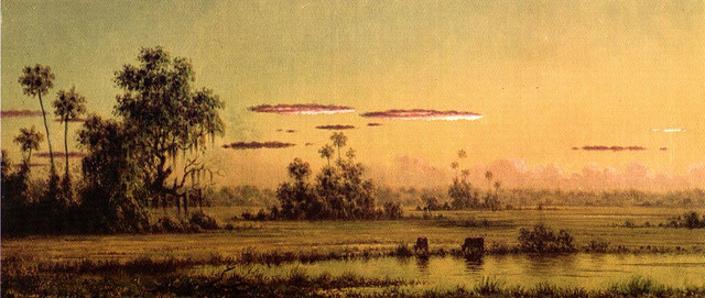 Florida-Sunset-with-Two-Cows
