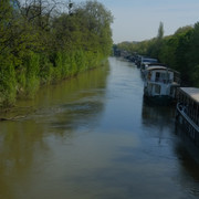 DSCF8991