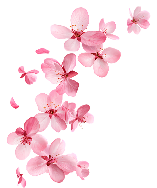 af01c37c8da6dfd3d0330a1fbdbd761e.png