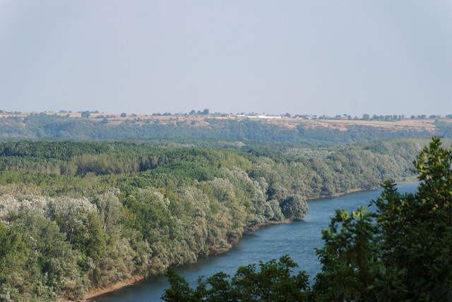 DSCF0193.jpg
