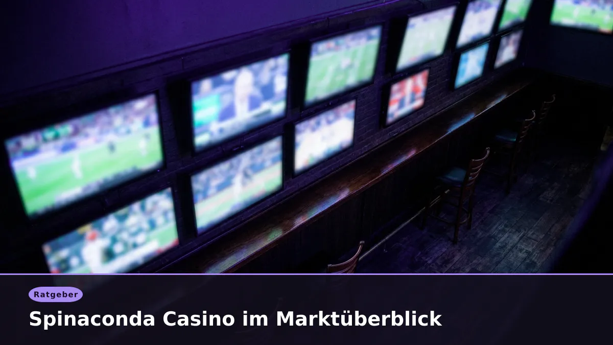 Spinaconda Casino im Marktüberblick