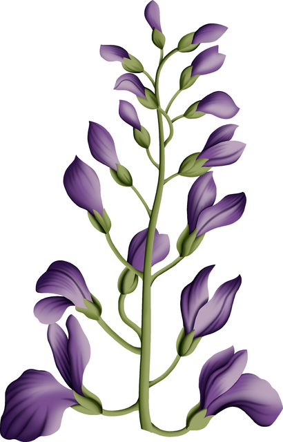 23eaebed7a4c250140742bb886b8dc06.png
