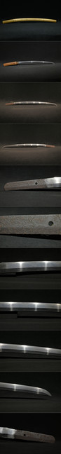 DSC4216.jpg