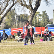 EMA5256