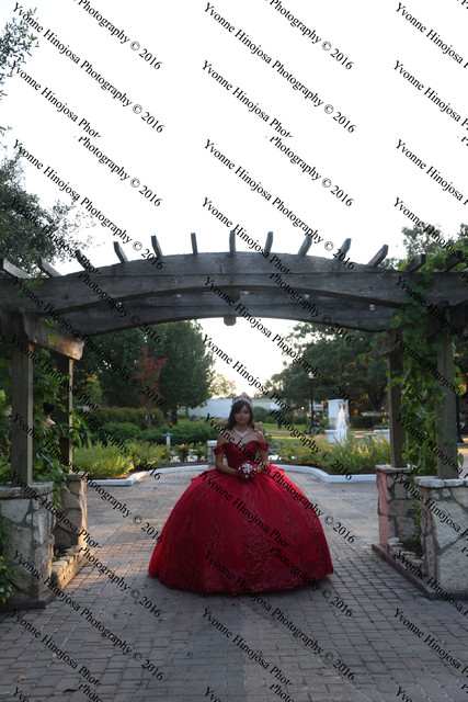 IMG 2649