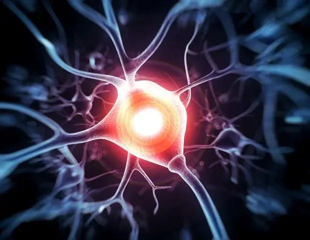 Injectable Wireless Device Enables Non‑Surgical Nerve Control for Pain and Movement Disorders
