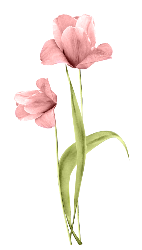 fdidesigns believe in miracles e53.png