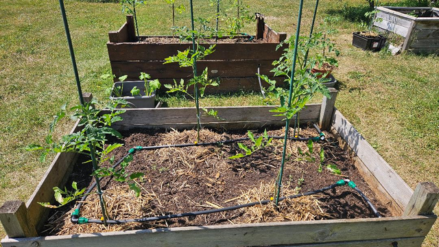 https://i.ibb.co/LXKGMNm7/Potager2.png