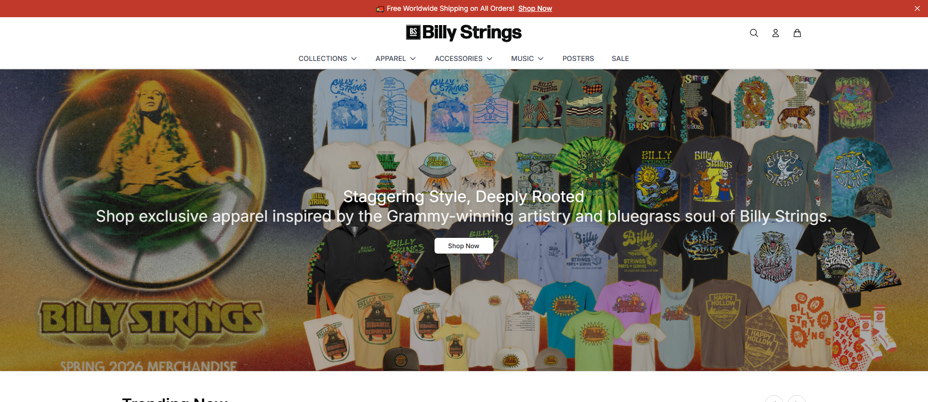 Основной снимок · billystringsmerch.shop
