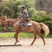 IMG-6749