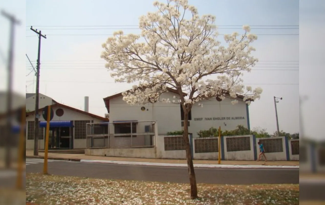 Novo Projeto