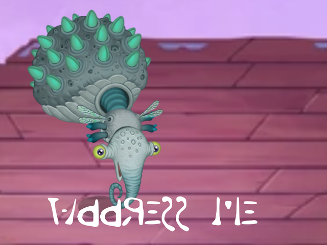 Untitled156-20251223133755