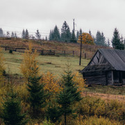 IPB Image