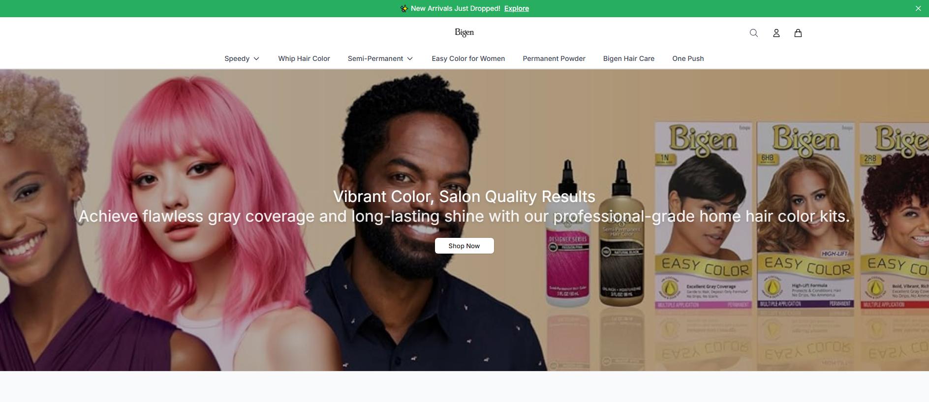 Primary capture · bigenonline.shop
