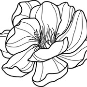 01-1383