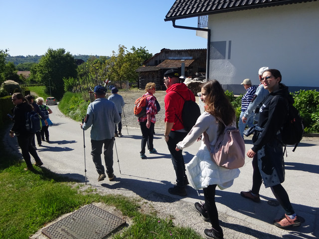 DSC04794.jpg