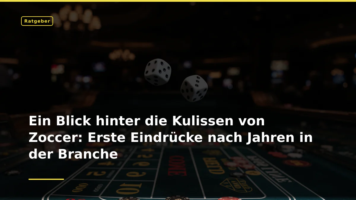 Ein Blick hinter die Kulissen von Zoccer: Erste Eindrücke nach Jahren in der Branche