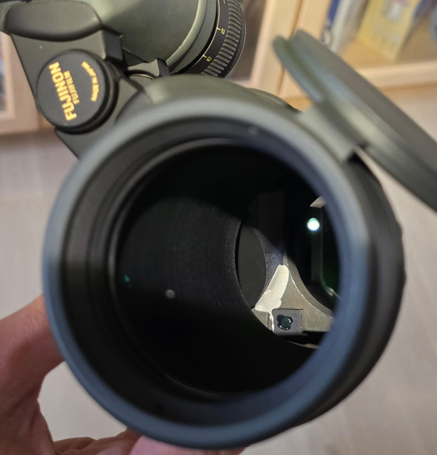 fuji1