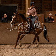 IMG-6471