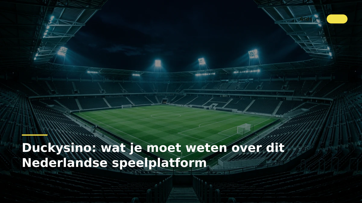 Duckysino: wat je moet weten over dit Nederlandse speelplatform
