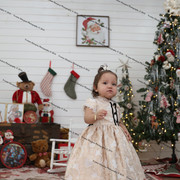 IMG 4099
