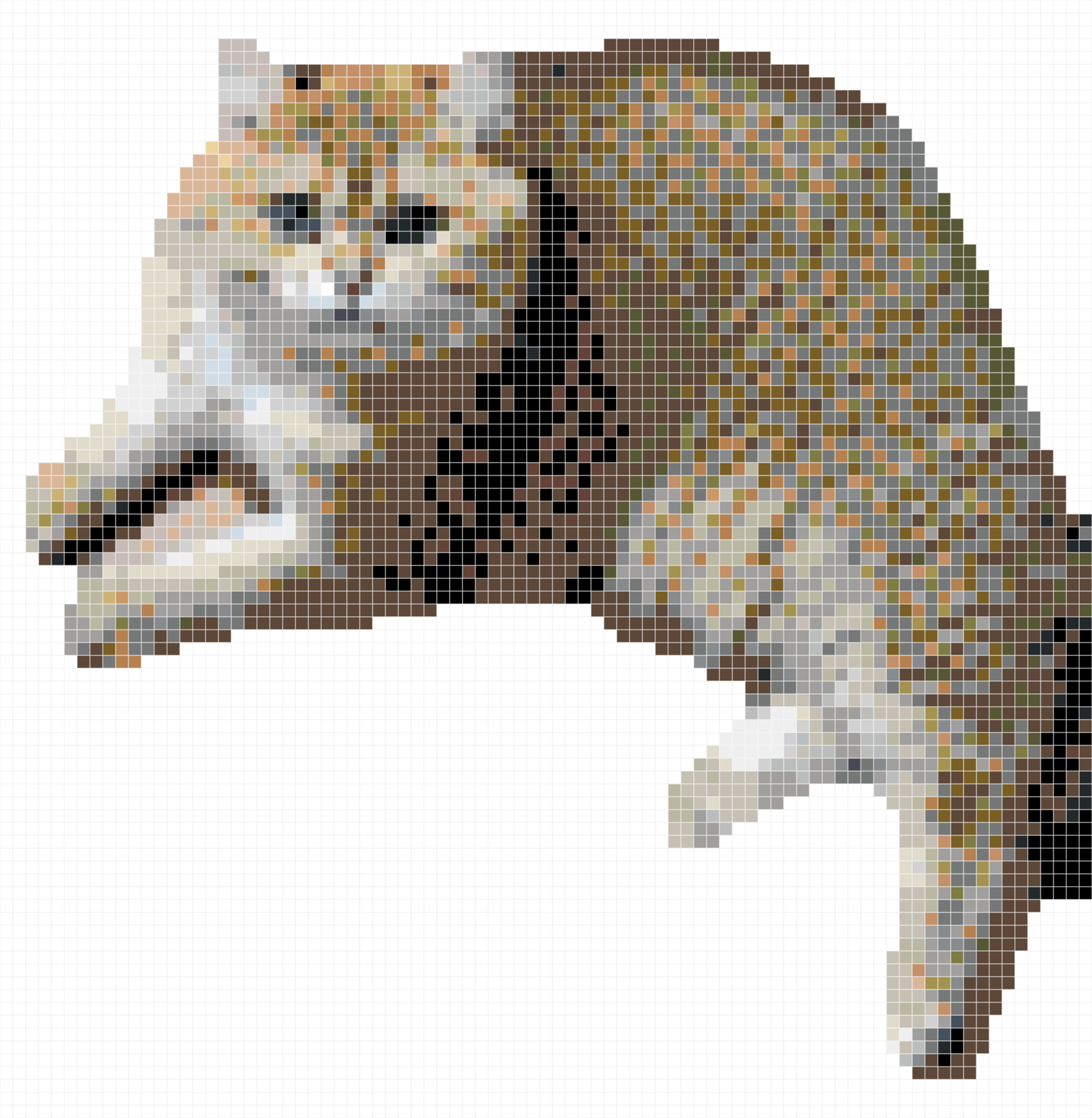 my cat