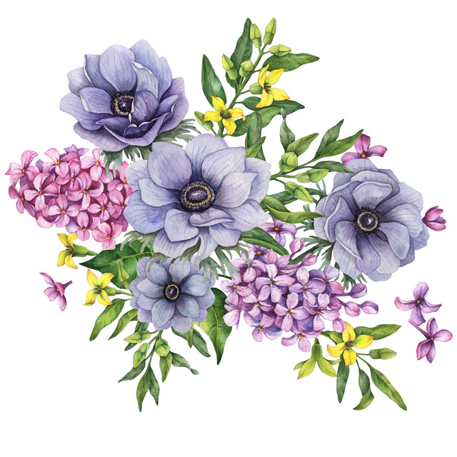 shutterstock 1961253046.jpg