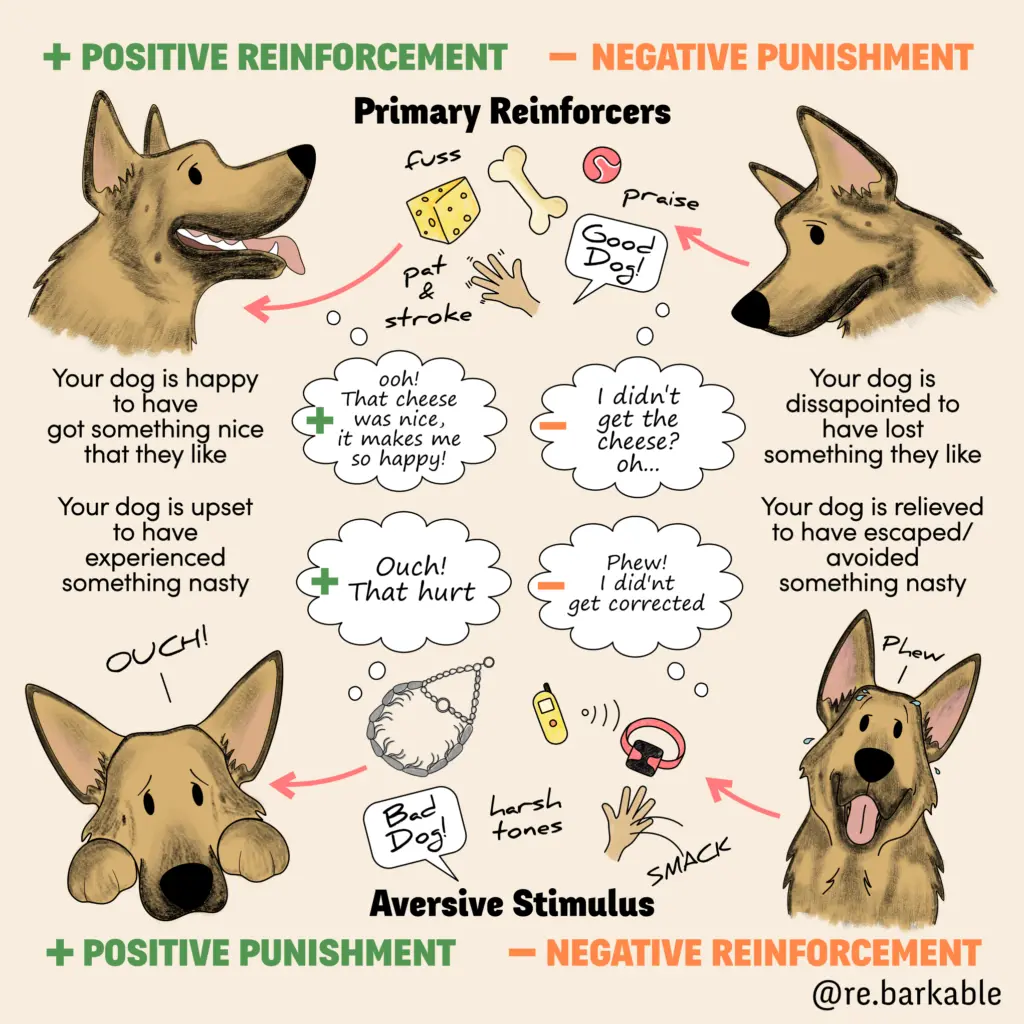 The Flaws of Punishment in Dog Training